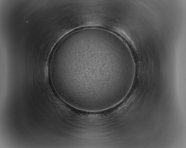 X0000093111268200710101015