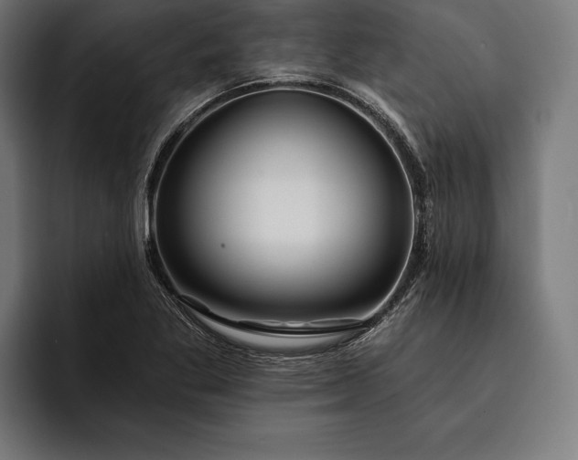 X0000093111269200710101015