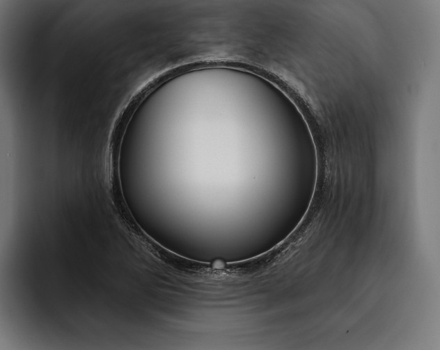 X0000093111270200710101015