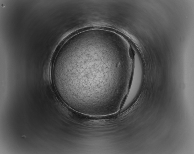 X0000093111272200710101015