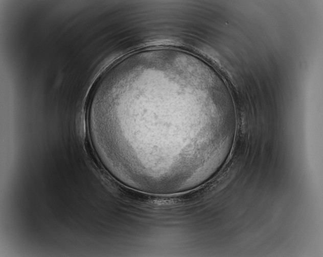 X0000093111274200710101015