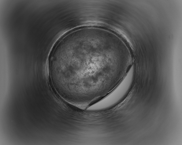 X0000093111275200710101015