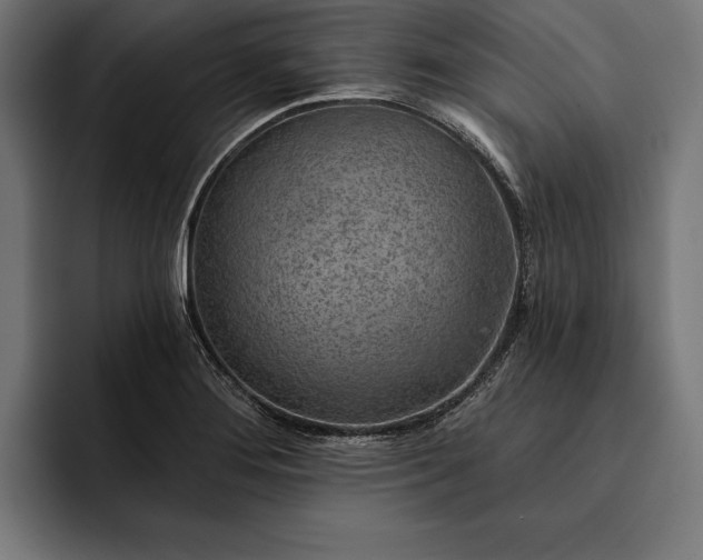 X0000093111276200710101015