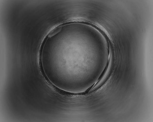 X0000093111277200710101015