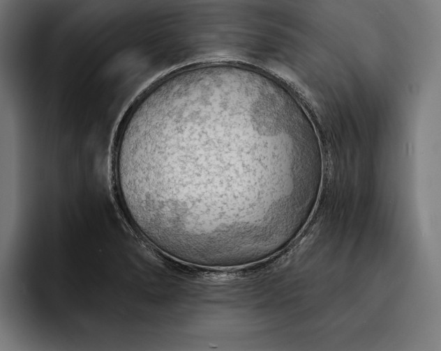 X0000093111278200710101015