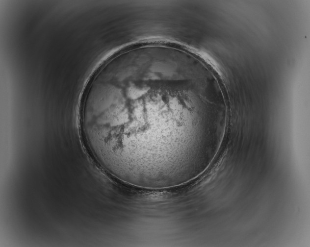 X0000093111279200710101015