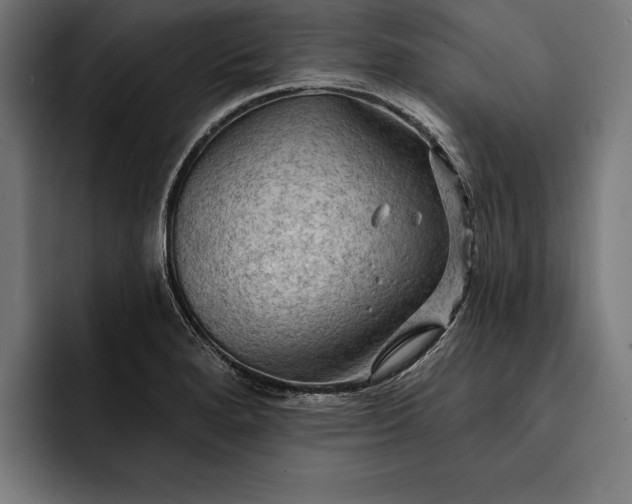 X0000093111280200710101015