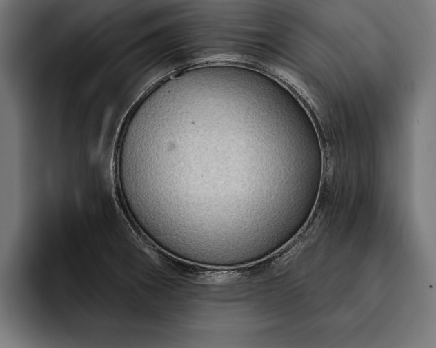 X0000093111282200710101015