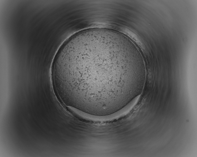 X0000093111283200710101015