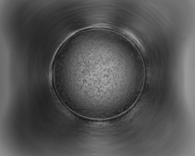 X0000093111284200710101015