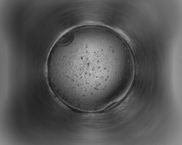 X0000093111287200710101015