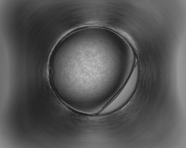 X0000093111288200710101015