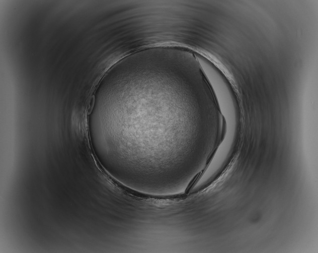 X0000093111289200710101015