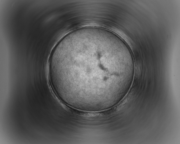 X0000093111290200710101015