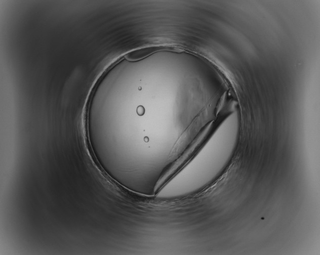 X0000093111291200710101015