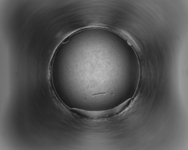 X0000093111292200710101015