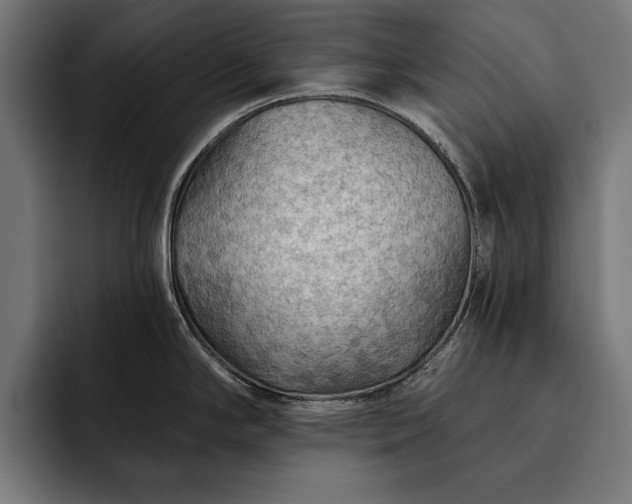 X0000093111294200710101015