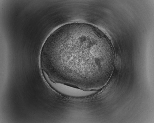 X0000093111295200710101015