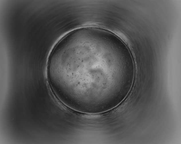 X0000093111296200710101015