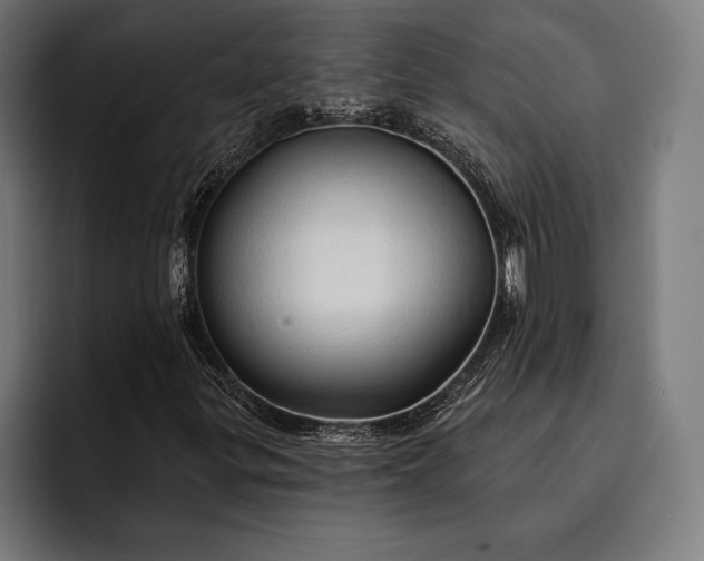 X0000093111299200710101014