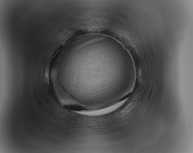 X0000093111300200710101014