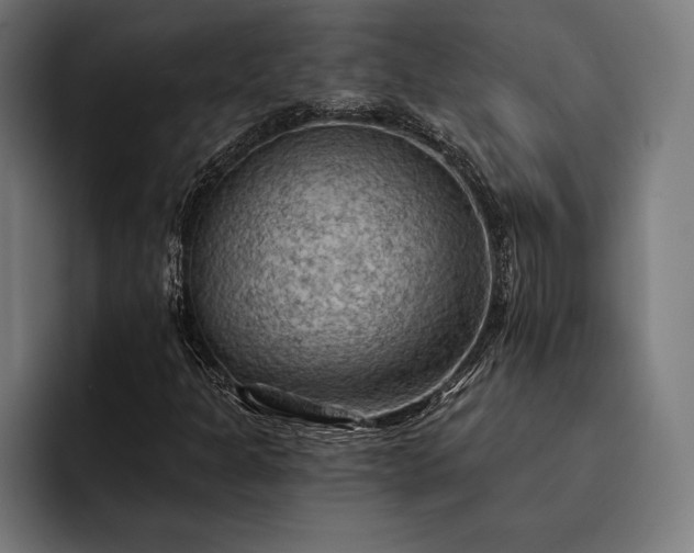 X0000093111301200710101014