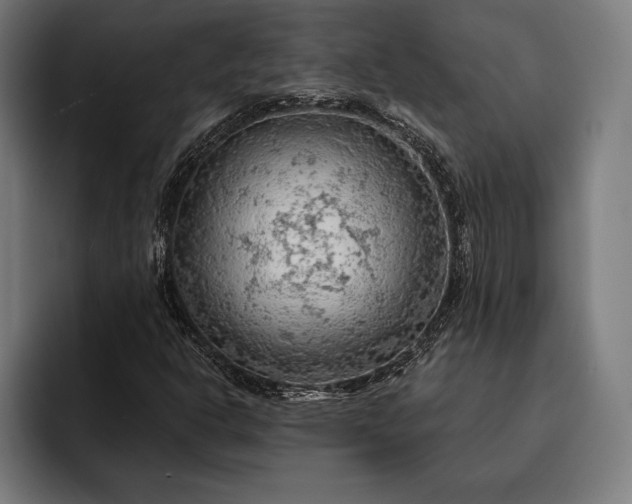 X0000093111302200710101014