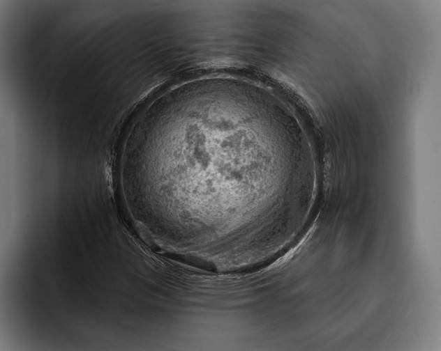 X0000093111305200710101014