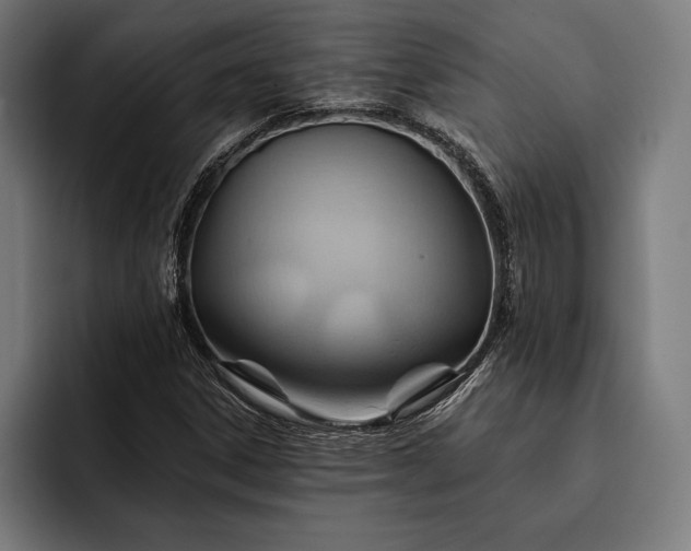 X0000093111306200710101014