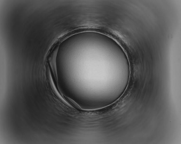 X0000093111307200710101014