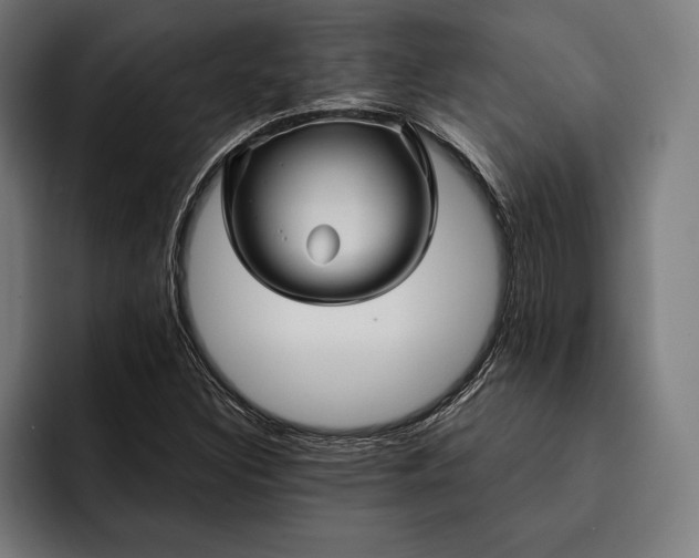 X0000093111308200710101014