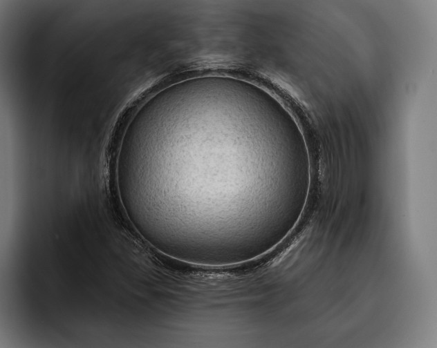 X0000093111309200710101014