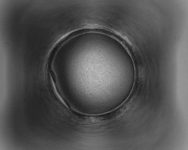 X0000093111311200710101014