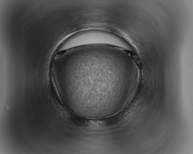 X0000093111312200710101014