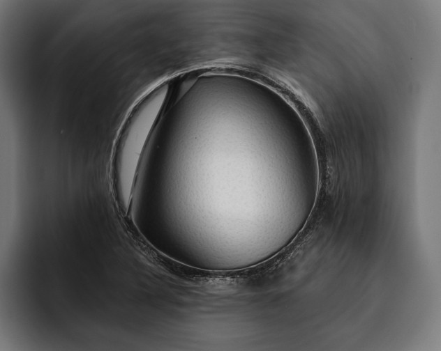 X0000093111316200710101014