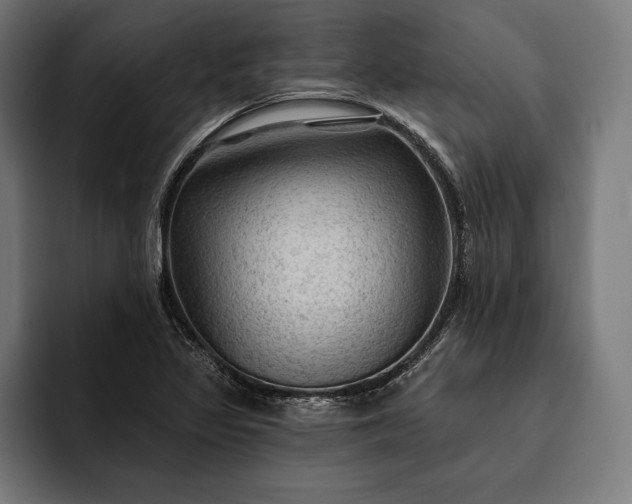 X0000093111317200710101014