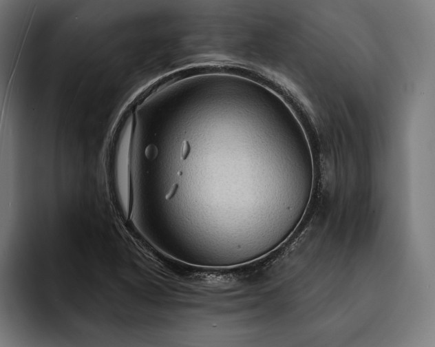 X0000093111318200710101014