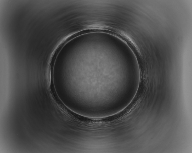 X0000093111323200710101014