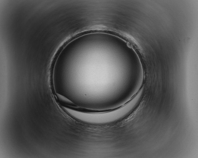 X0000093111326200710101014