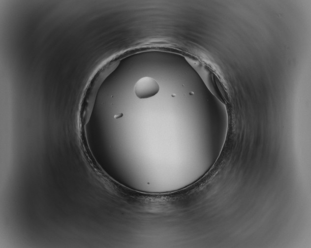 X0000093111328200710101014