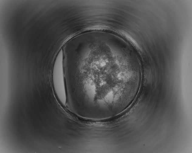 X0000093111329200710101014