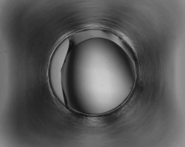 X0000093111330200710101014