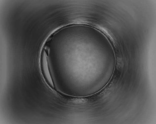 X0000093111331200710101014