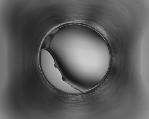 X0000093111332200710101014