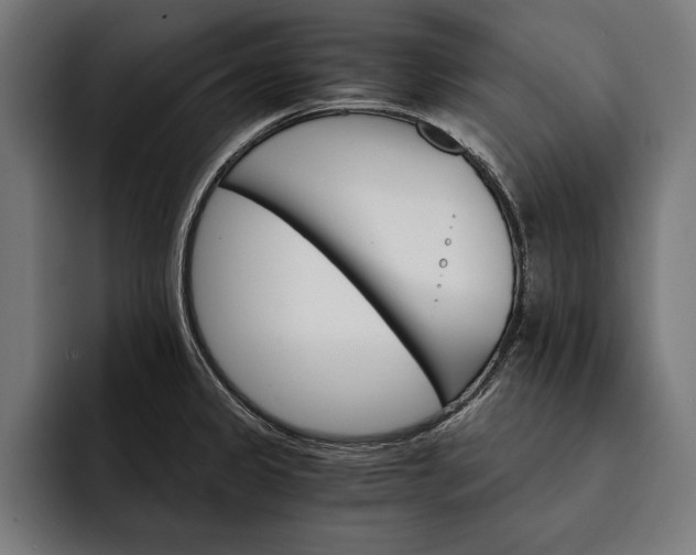 X0000093111333200710101014