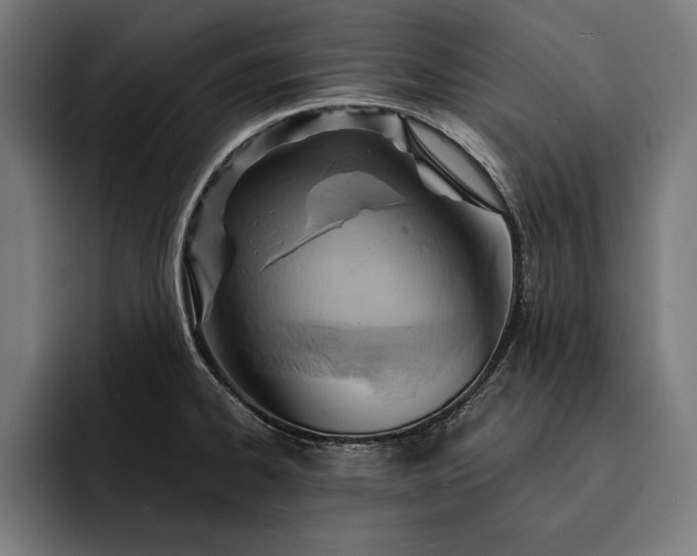 X0000093111334200710101014