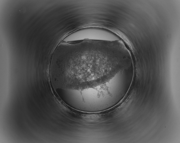 X0000093111337200710101014