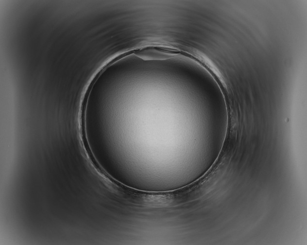 X0000093111339200710101015