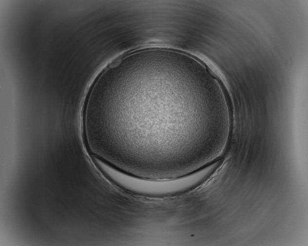 X0000093111341200710101015