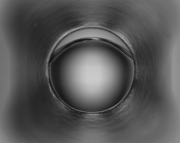 X0000093111342200710101015